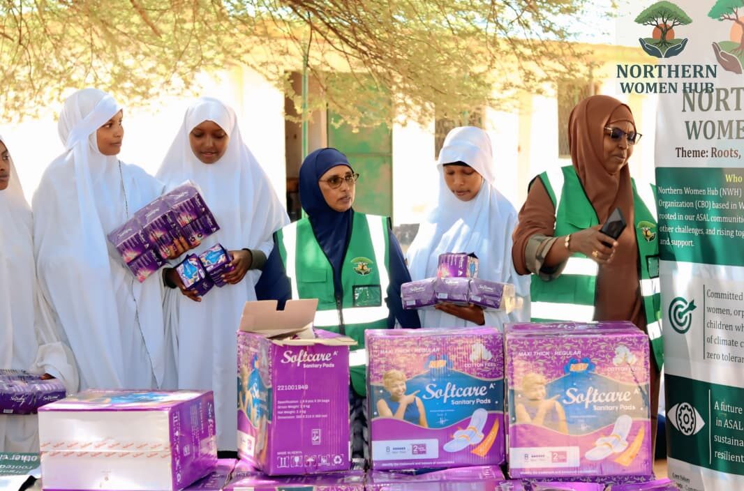 Sanitary pad distribution at a Wajir school
